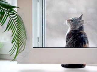 10 мифов о пластиковых окнах 10 мифов о пластиковых окнах